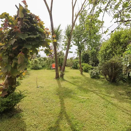Tatil Evi Brendan's